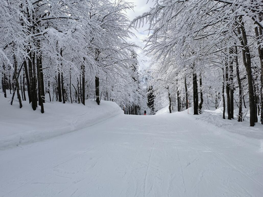 6. Hier fährt man erstmal gemütlich durch verschneite Wälder.