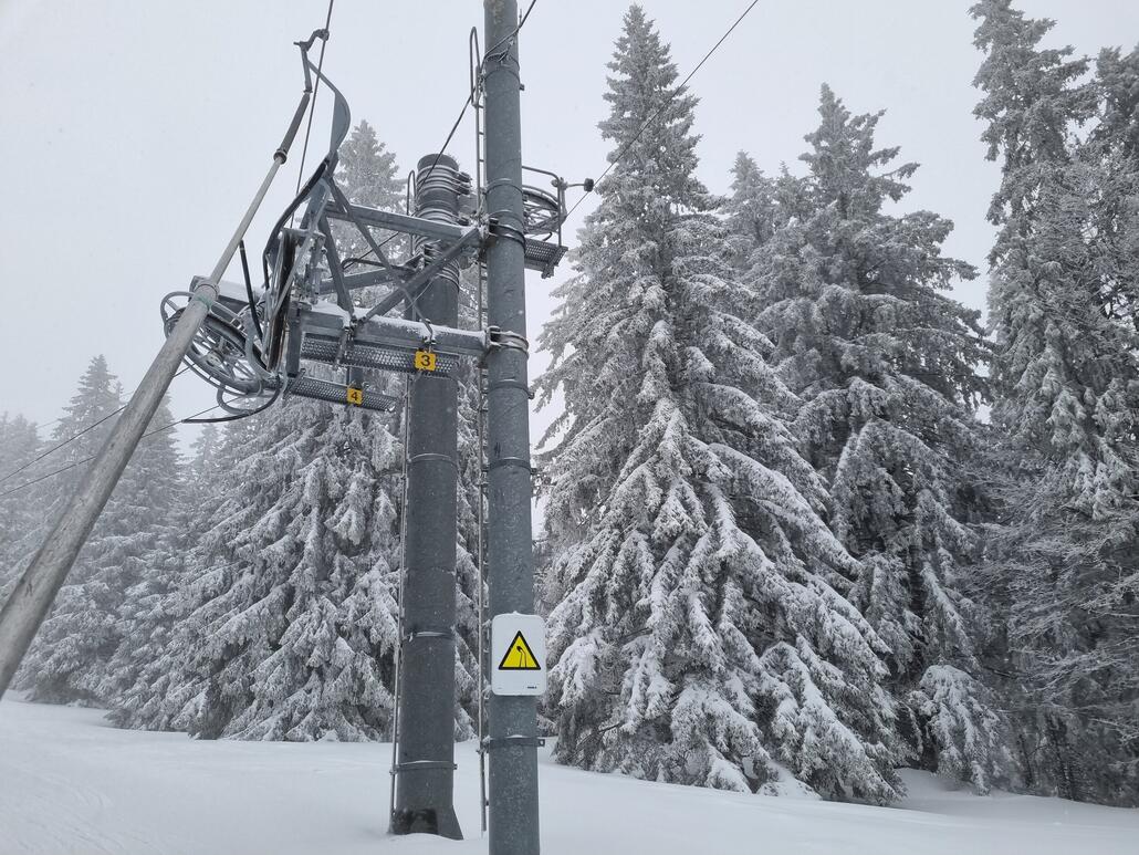 Schlepper Cochet mit einer coolen Kurvenstation im Wald