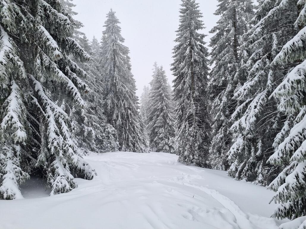 Unglaublich viele Varianten abseits, genial!