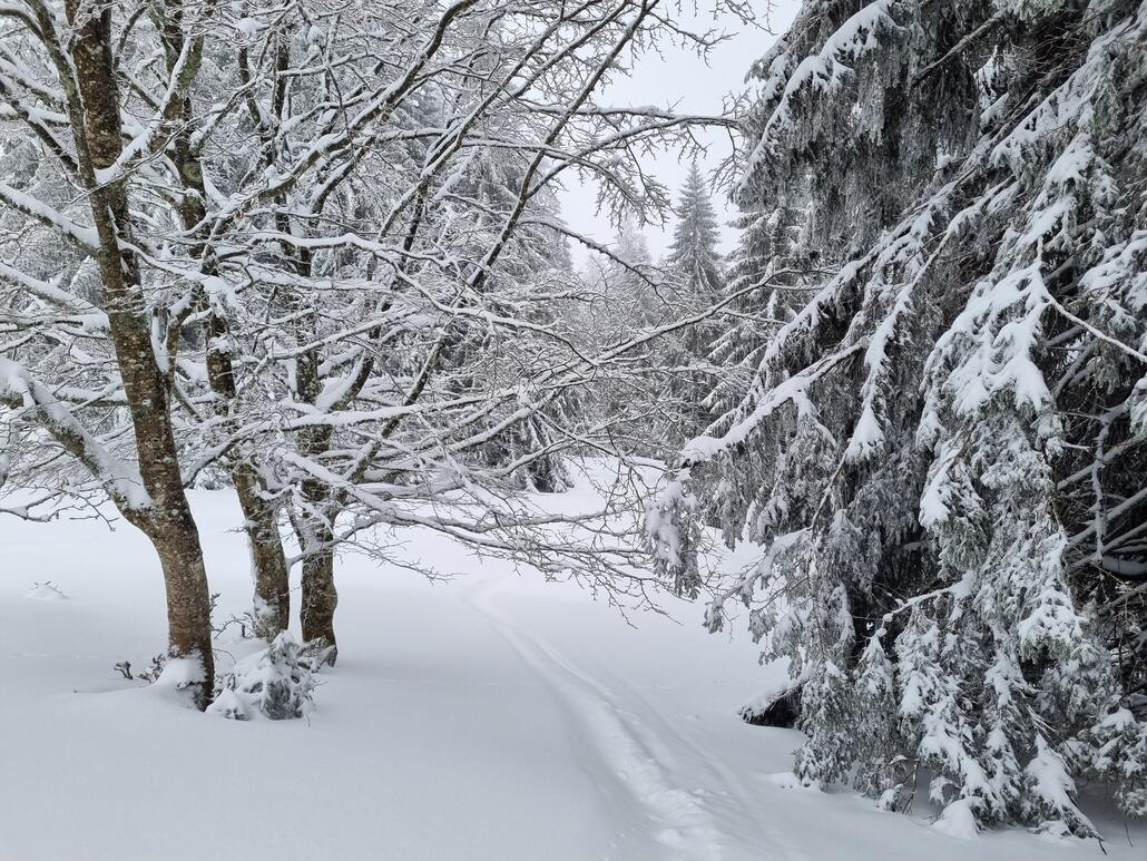Hier darf man sich noch wie ein Kind fühlen