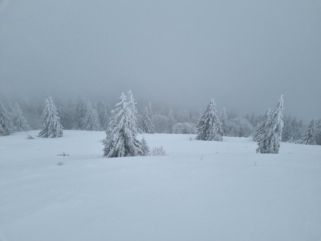 Äusserer Bereich am Cochet. Hier fühlt man sich abseits richtig wie in der Isolation und nichts weist auf das nahe Skigebiet hin