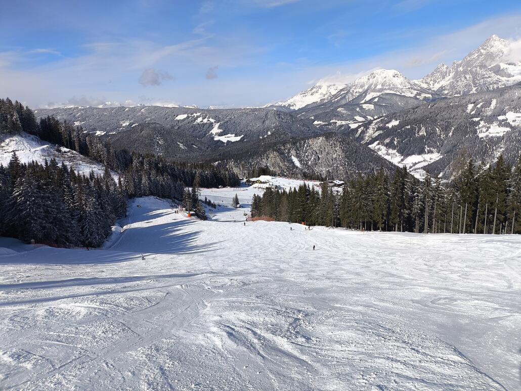 Die 1 weiter unten, war ok