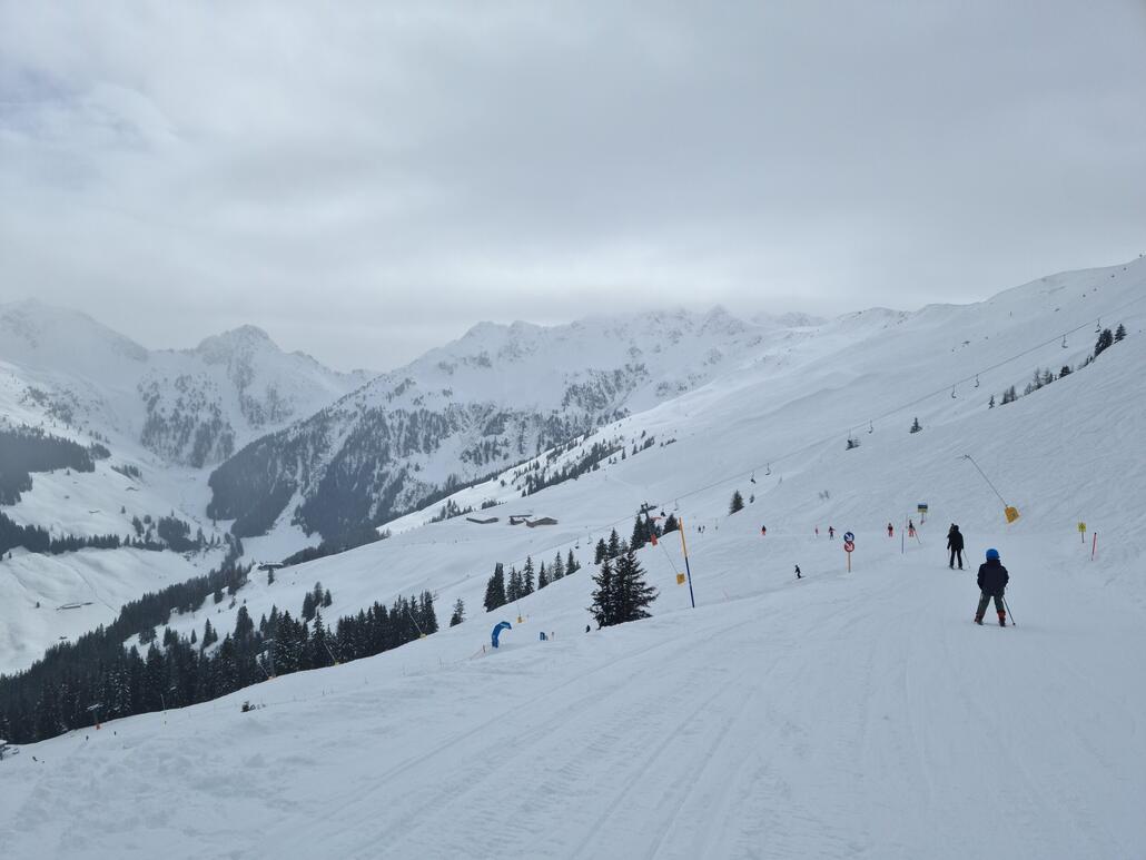 Ziehweg Richtung Hornbahn