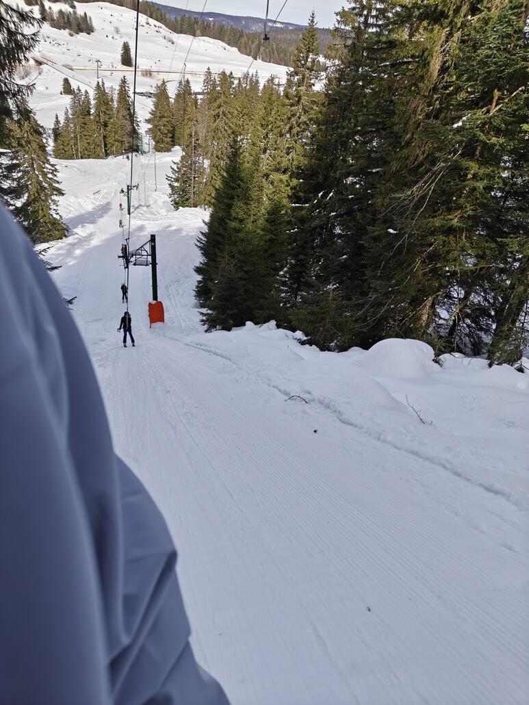 "Leseneys" Stangenschlepplift