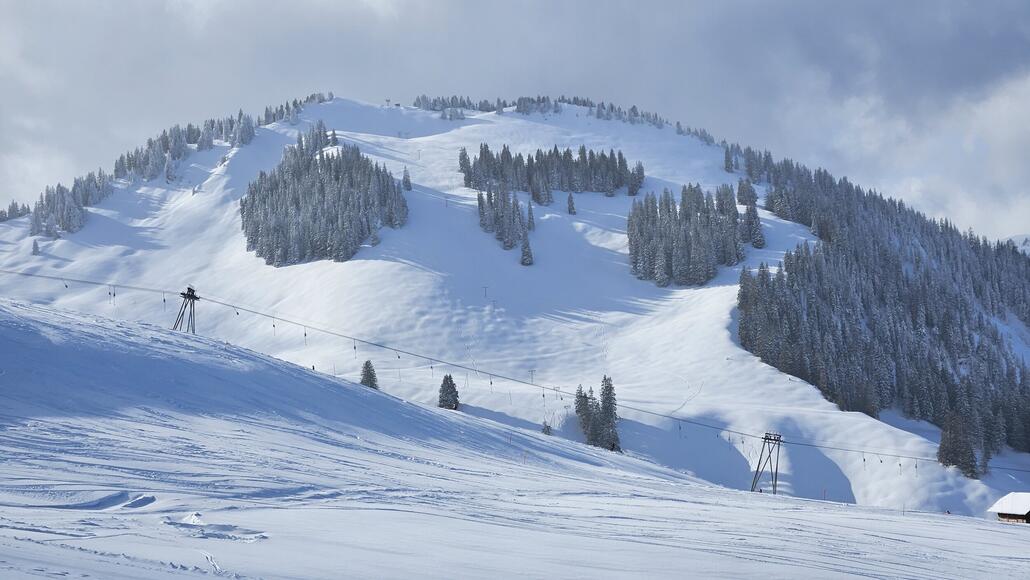 Mein grosses Projekt im Hintergrund