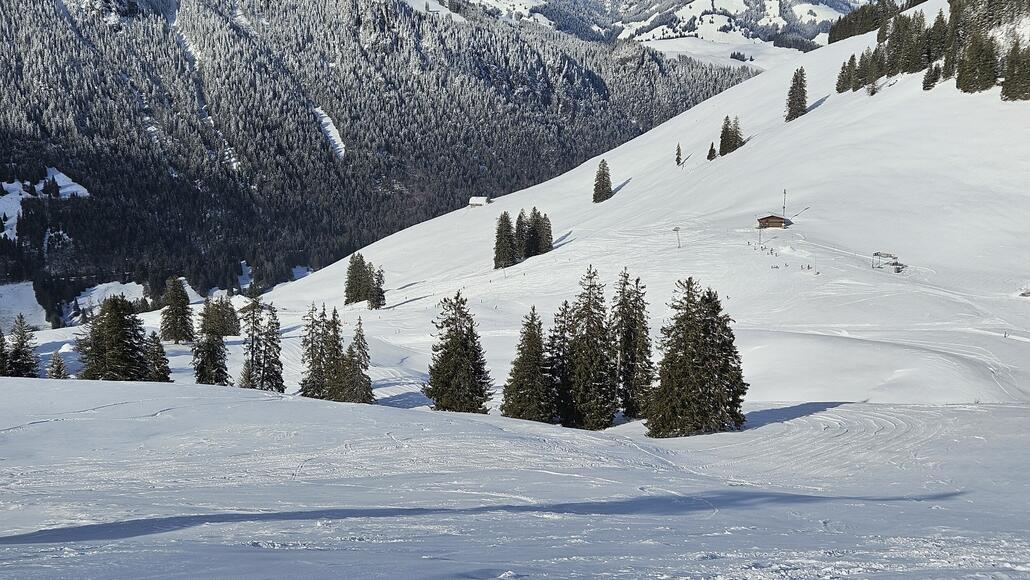 Vorpräparierung der neuen blauen Pistenvariante