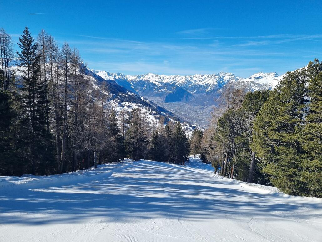 Die Piste ist durchgehend breiter als ich sie mir vorgestellt hatte. Oben schön durch den Wald trassiert