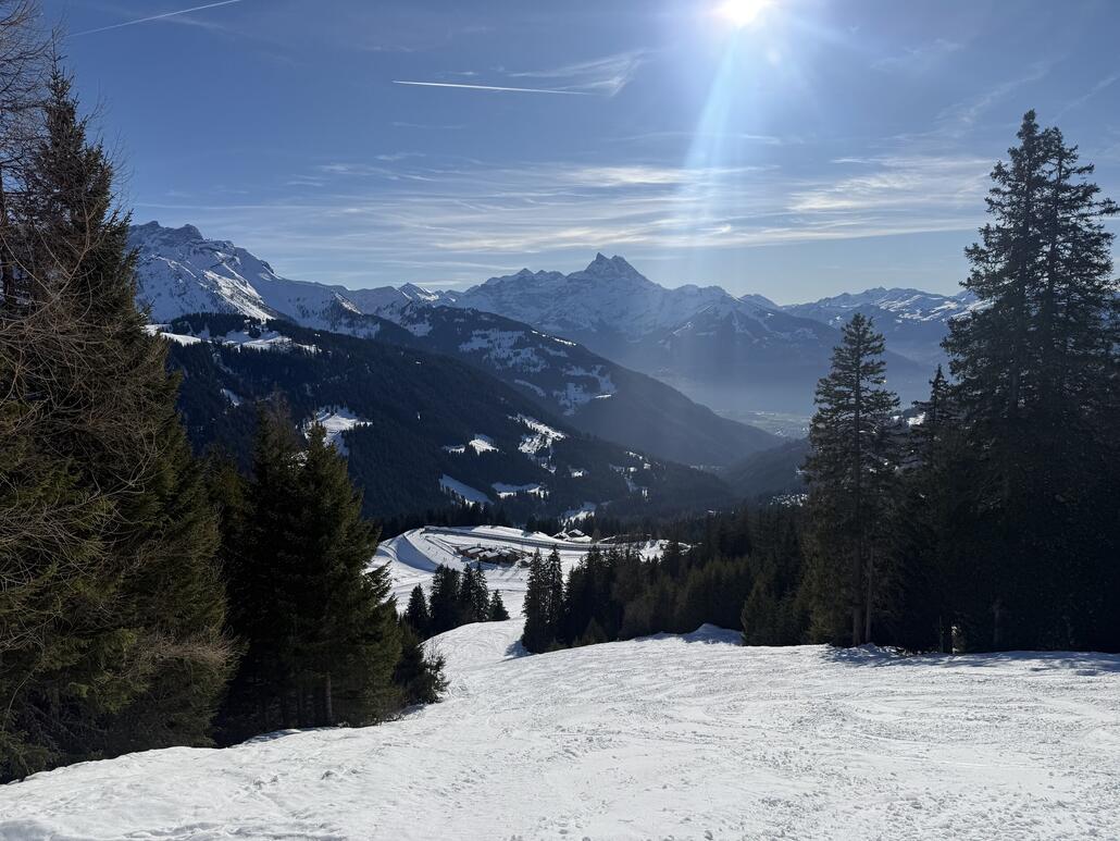 Die Skiroute wurde offenbar mal präpariert und es fahren nur selten Leute runter. Da der Schnee aber schwer nass war, wurde man automatisch beim runterfahren gebremst. Ein schweren Tagesabschluss für unsere Beine!