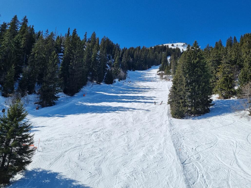 Im unteren Teil natürlich eine massive Sulzschlacht. Hier der Hang zur Mittelstation