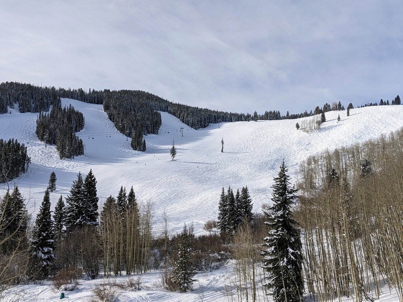 Zoom in die Larkspur Bowl