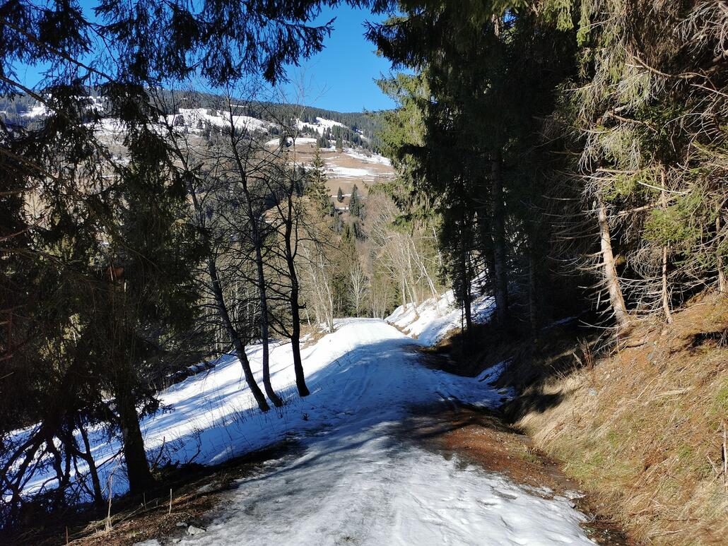 13. Geschneit hat es ja und es ist schattseitig. Also gehts auf Gut Glück bis hinunter ins Förstereck. (Die Abfahrt am ZellamSeeExpress wäre ja ein Traum, nur warum zum Henker muss man die Piste kaputtwalzen? Alles voller Raupenspuren.)