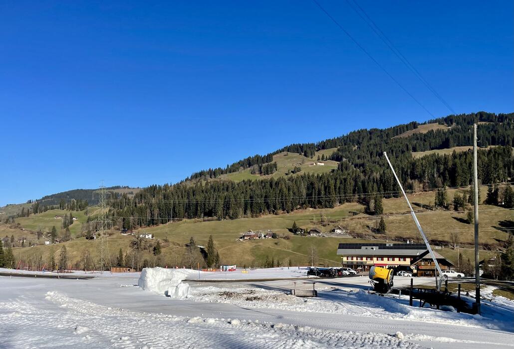 IMG_8594.jpeg (845.15 KiB) 330 mal betrachtet Viel ist nicht mehr übrig vom Schneedepot, am Gegenhang hats allerdings gar kein Schnee mehr.