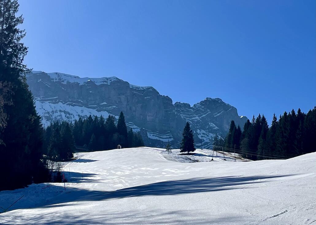 Immer mit Blick zum mächtigen Hohgant.