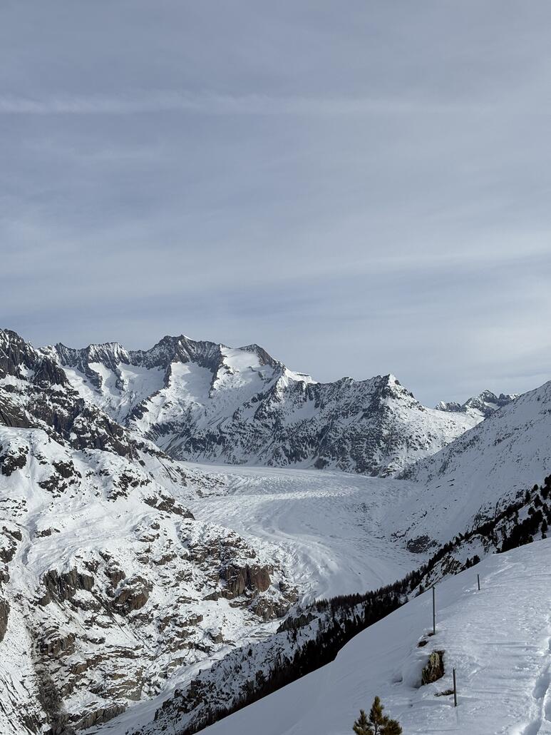 Aletschgletscher