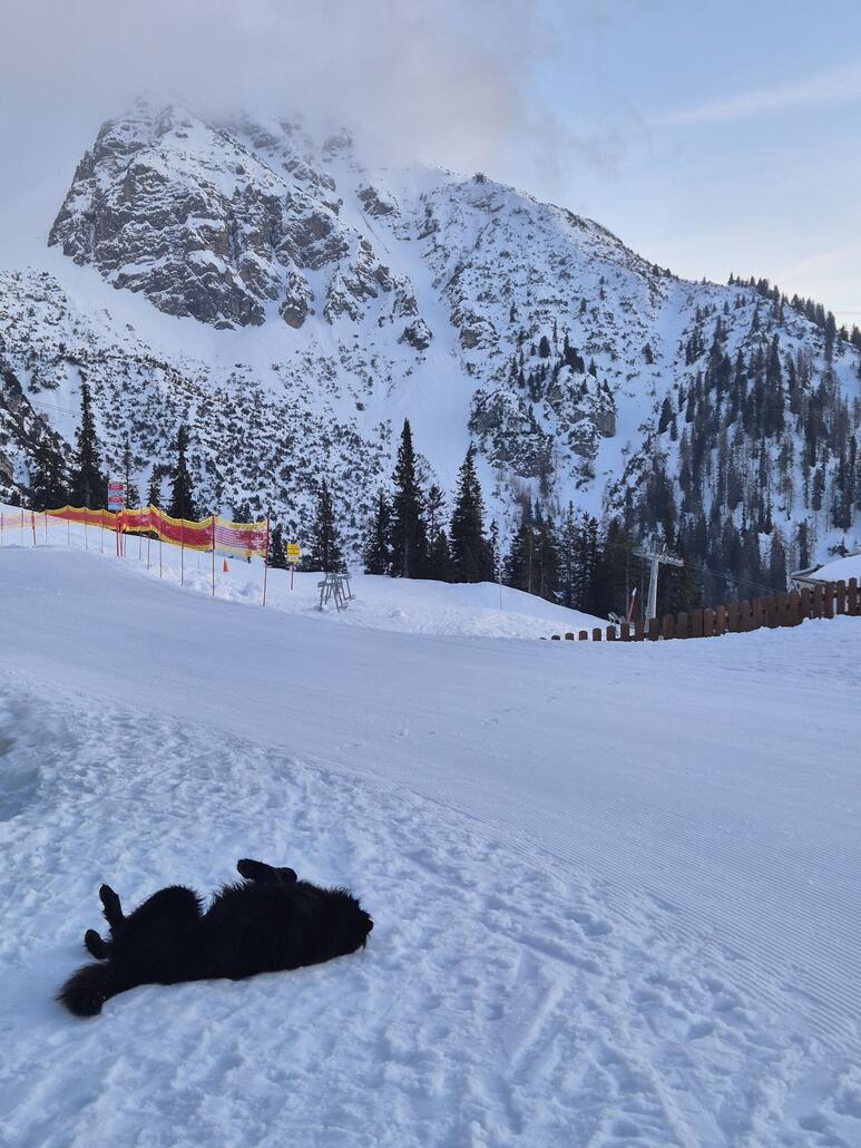 Lucky hat Glück! Er wohnt auf der Rosshütte ;-)