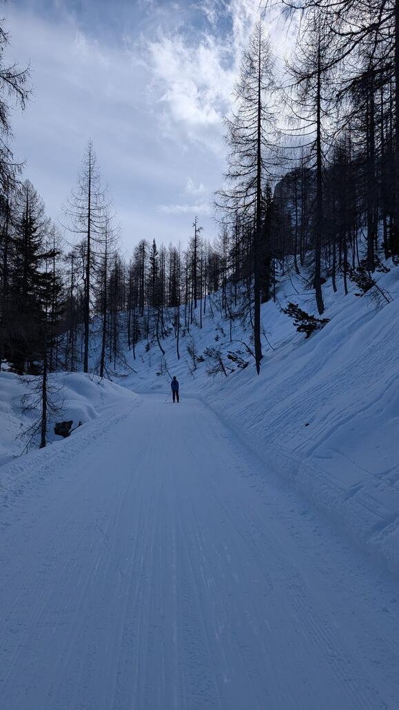 Ich verlasse das Haupt Skigebiet über einen gemütlichen Waldweg und fahre danach mit dem Bus zurück