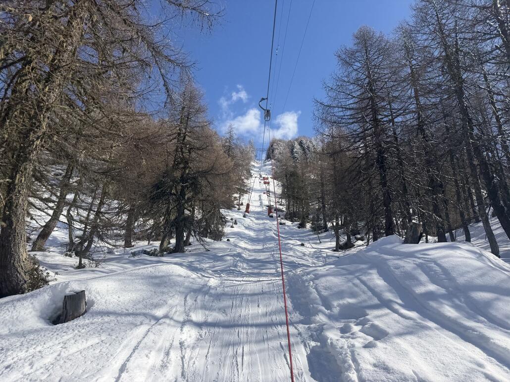 Danach der coole Steilhang durch den Wald
