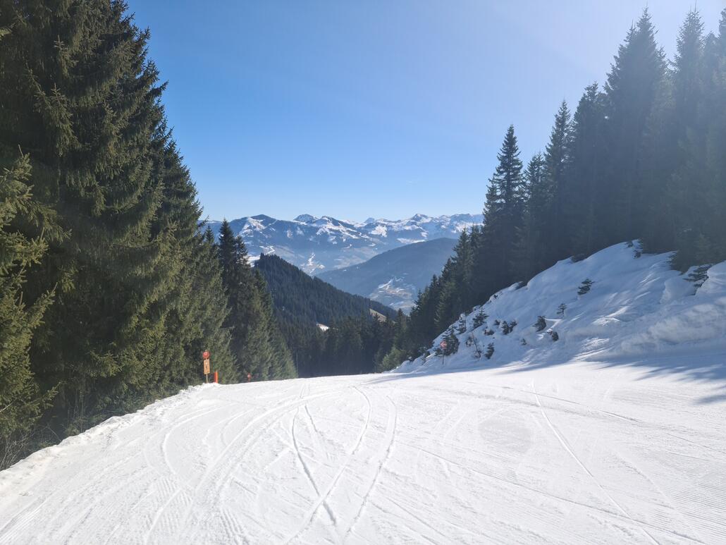 Am Lanerköpfl Blick Richtung Markbachjoch