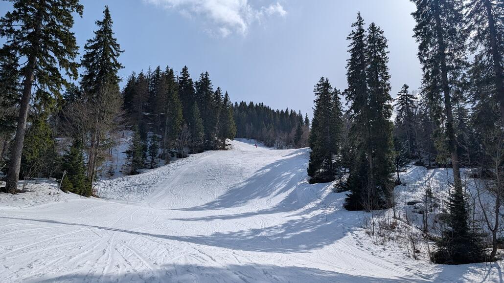 Die Pisten sind richtig schön durch den Wald angelegt, auch wieder das gleiche gemütliche Gefühl wie in dem anderen Skigebiet!