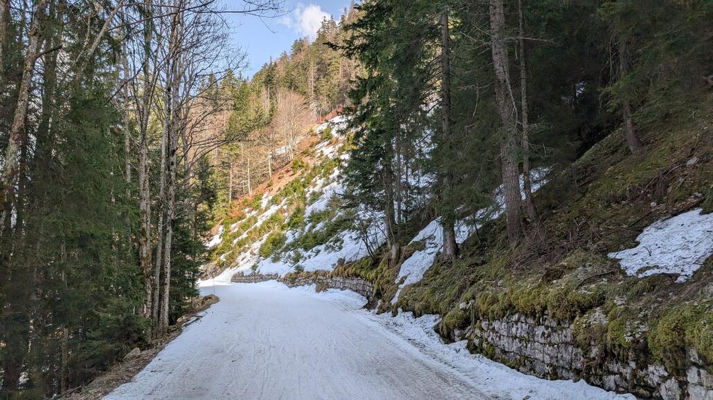 Die Talabfahrt ist leider zum größten Teil ein nicht so interessanter Ziehweg