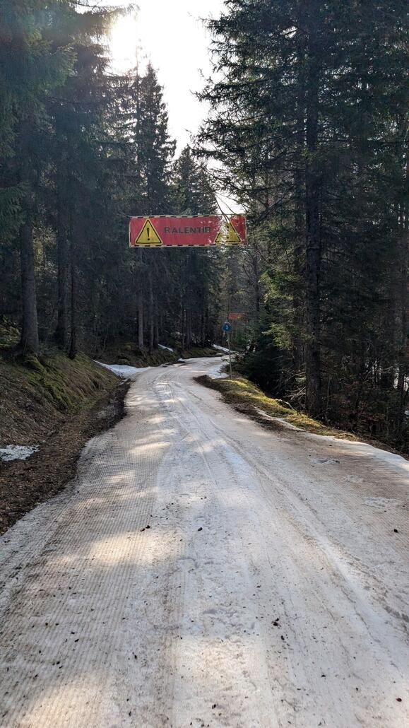 Nur in dem Ziehweg im Wald ist der Schnee etwas knapp reicht aber perfekt aus