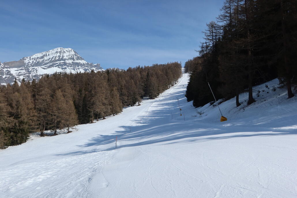 Schöne 13 durch den Wald