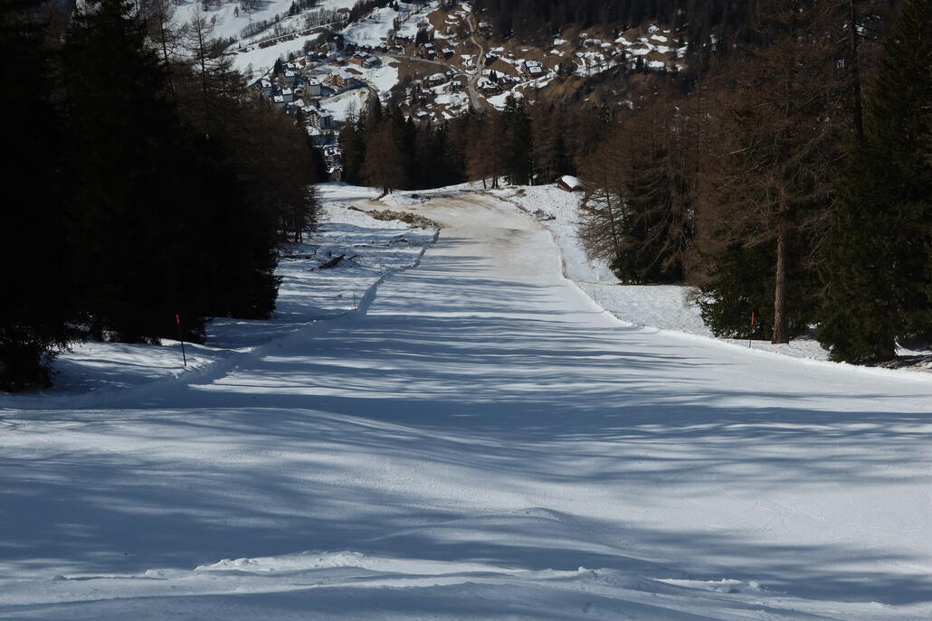Steilhang der 15, im unteren Teil eher eine braune (Lawinen)schnee-Wald-Mischung