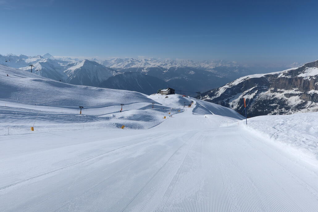 Rinderhütte im Blick