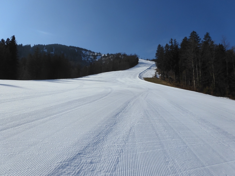selber Standort, Blick hinauf
