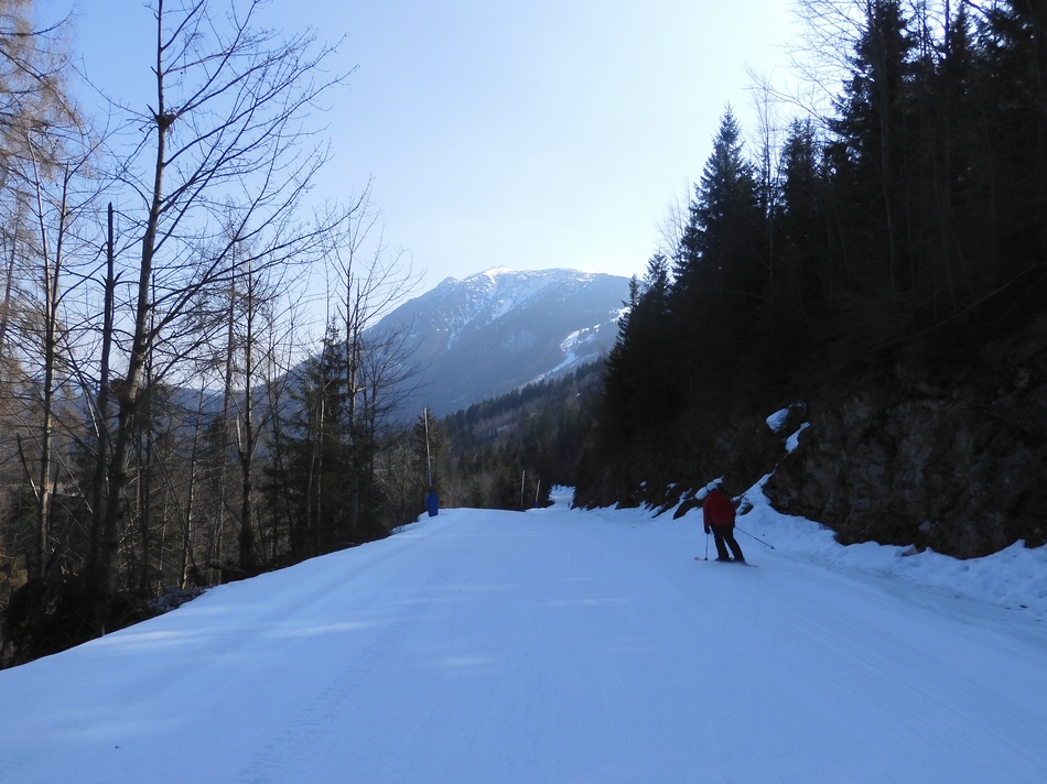 Familienabfahrt am kleinen Ötscher