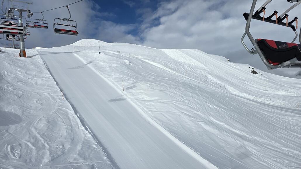 Curtinella Top präpariert