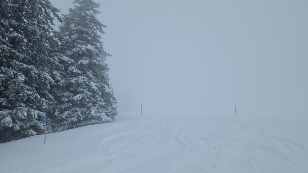 20260220_121320.jpg (323.07 KiB) 1275 mal betrachtet Auf der gefundenen Piste.