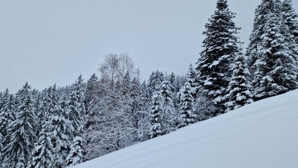 20260220_121827.jpg (1.11 MiB) 1275 mal betrachtet Wunderschöne Winterlandschaft