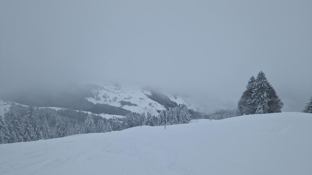 20260220_121501.jpg (232.83 KiB) 1275 mal betrachtet Unten war die Sicht teilweise ein bisschen besser. Zum See runter oder in Richtung Klewenalp sah man leider aber nie.