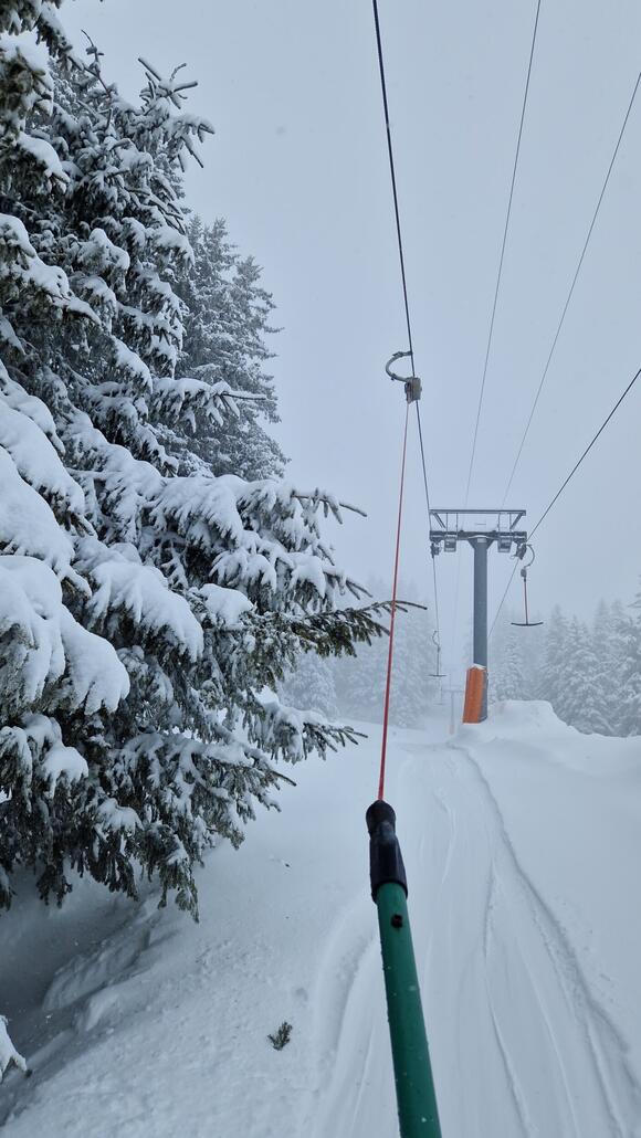 20260220_133046.jpg (525.52 KiB) 1275 mal betrachtet Mittelteil - weit und breit kein Mensch.