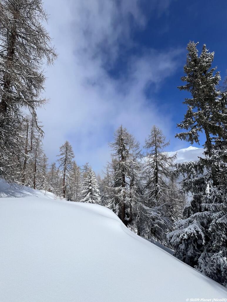 nördlich der Alm Artzinol