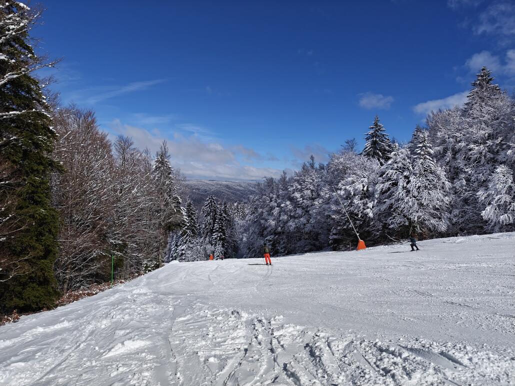 Grüne Piste - Leider war der Schlepper "Babette" im Wald heute nicht geöffnet
