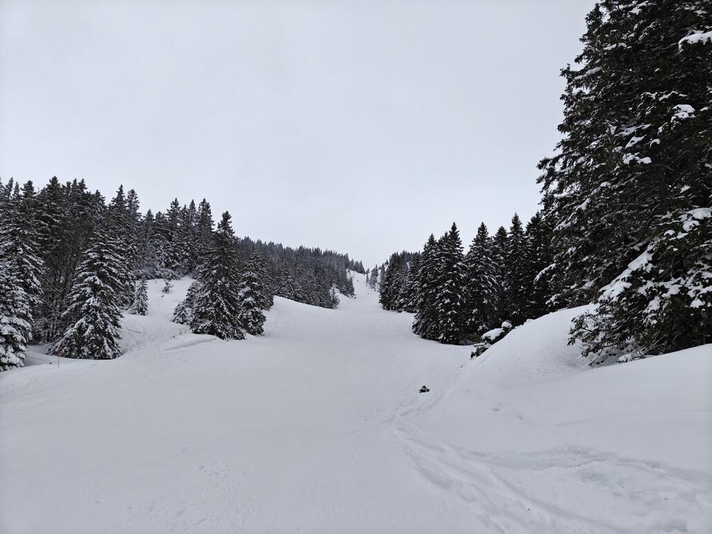 Lieblingspiste "Asters": wunderschön im Wald gelegen entlang des Loges Sessellifts