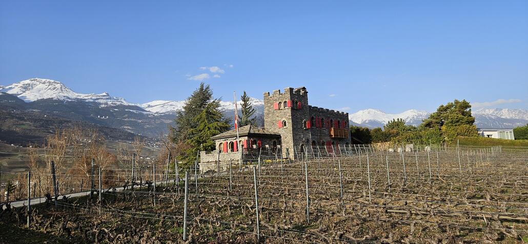 20260308_170257 - Kopie.jpg