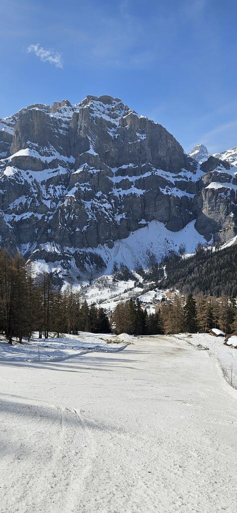 Der Steilhang auf der schwarzen Talabfahrt nach Leukerbad wirkt gar nicht so steil...