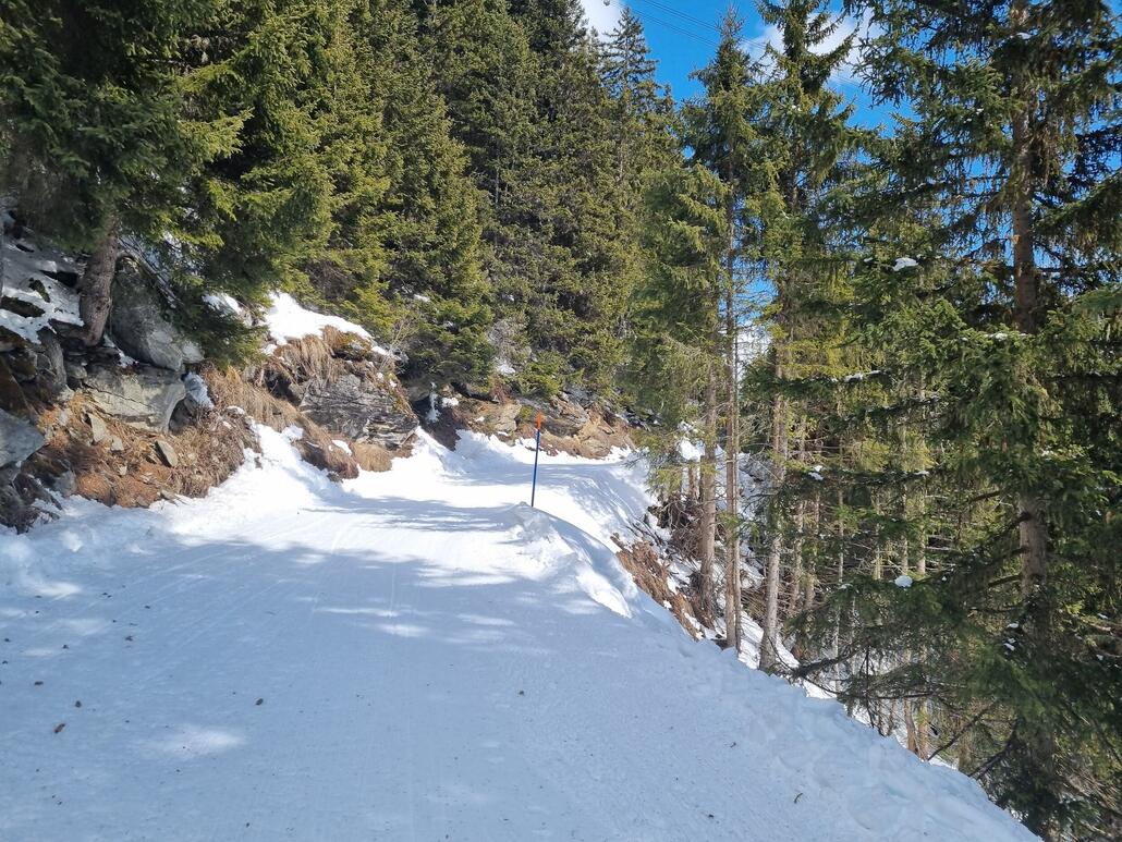 Hier dann später auf der offiziell gesperrten Tal-Rodelabfahrt