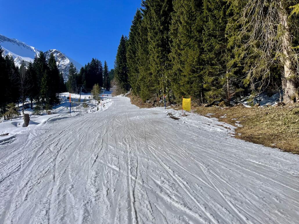 Weshalb hier gerodet wurde werd ich nie verstehen, so leidet der Abschnitt hier deutlich mehr in der prallen Sonne.