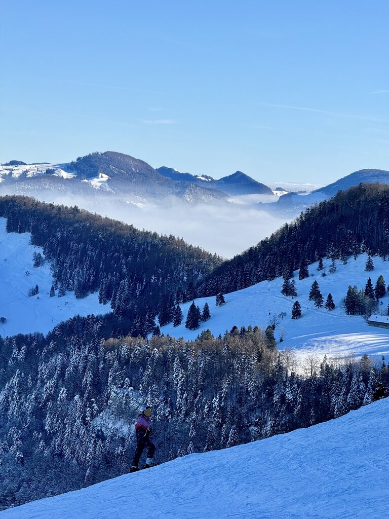 Aussicht bis zu den Alpen (ganz hinten)