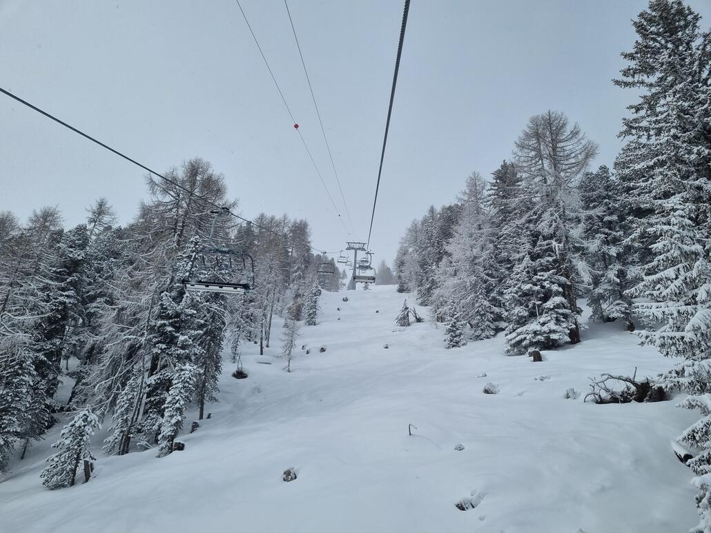 Im verschneiten Wald bei Tracuit