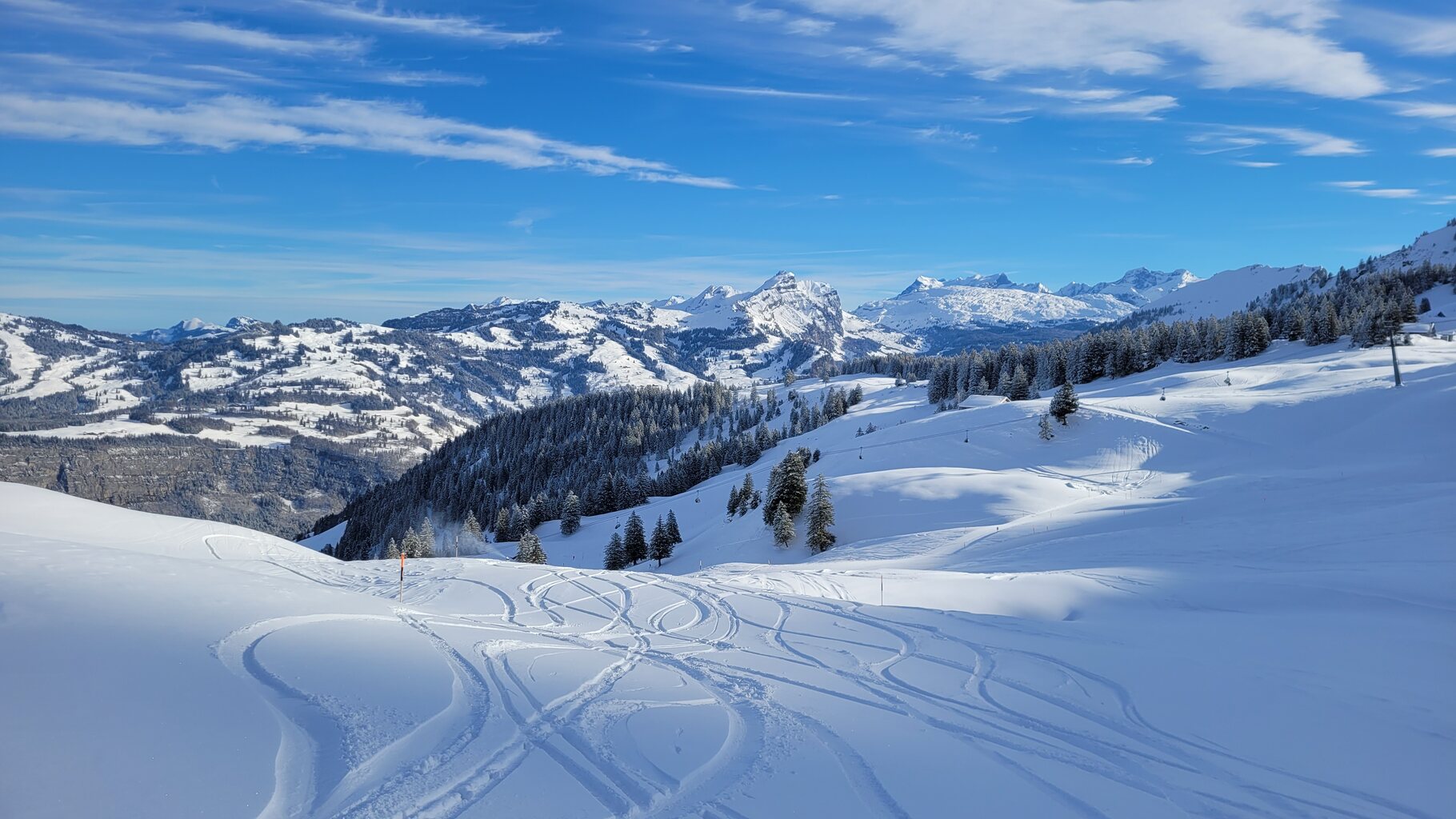 Schöner Pulver auf der geschlossen schwarzen