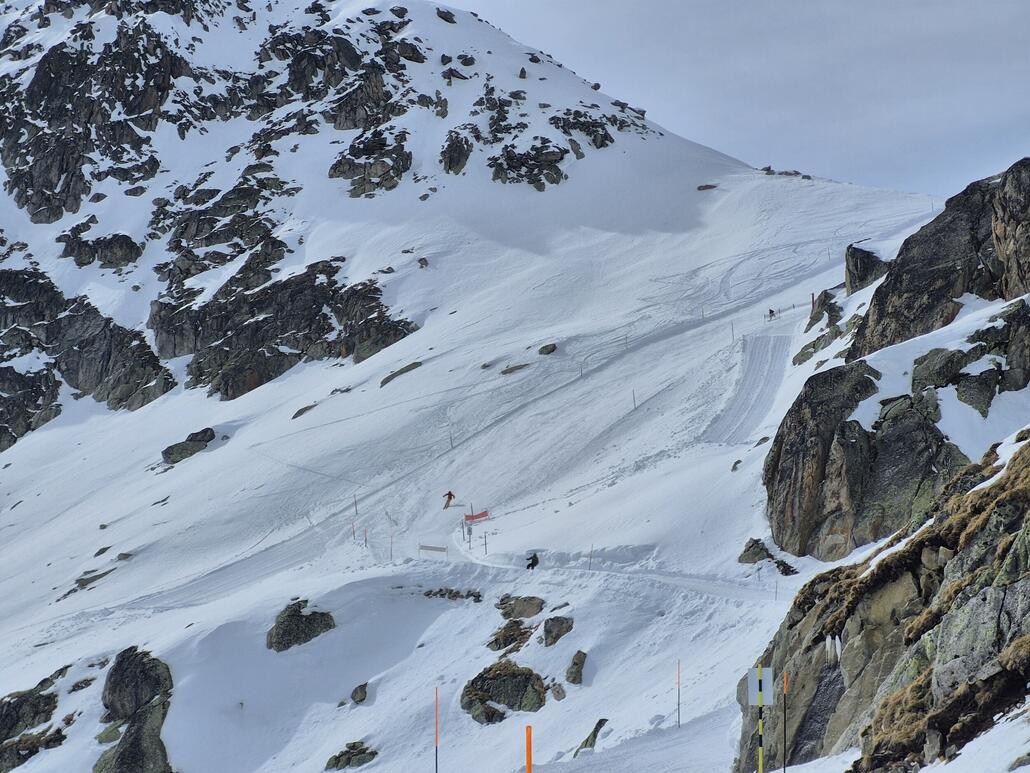 Blick auf die Eggishorn Piste