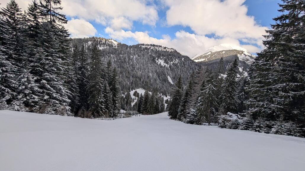 Richtig schöne Wald Abfahrtrn bei der aktuellen Sicht am Pre la Joux