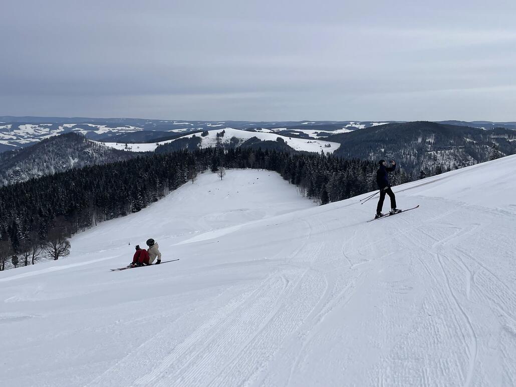 Alpinfans in Action ;)