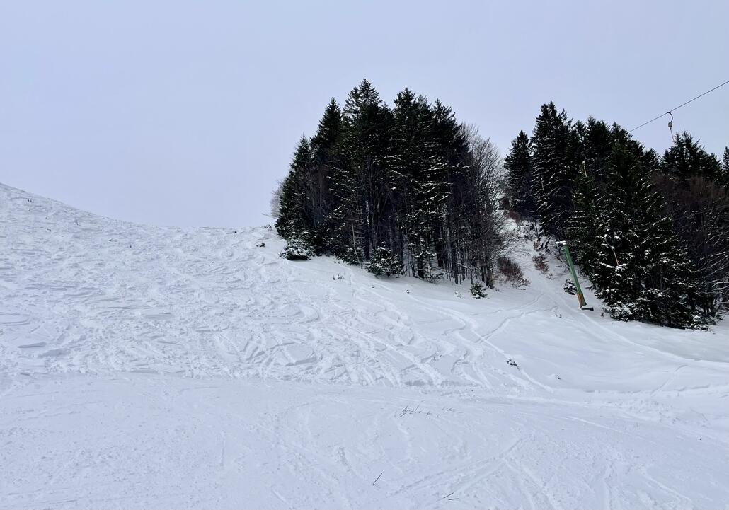Steilhang nicht gepistet, war aber auch pulvrig.