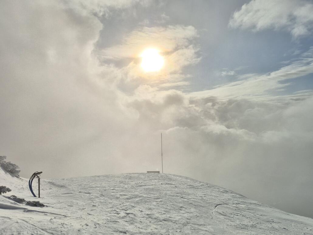 20260329_181104 (1).jpg